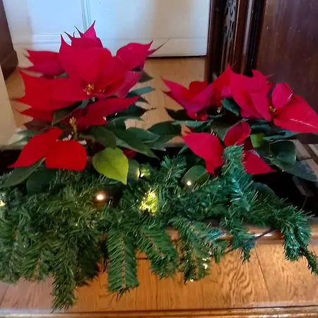 Artistic House לינה וארוחת בוקר