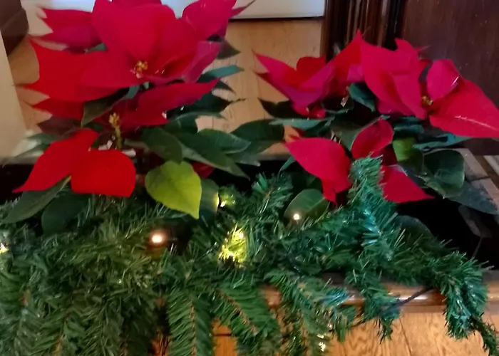 Artistic House Frühstückspension